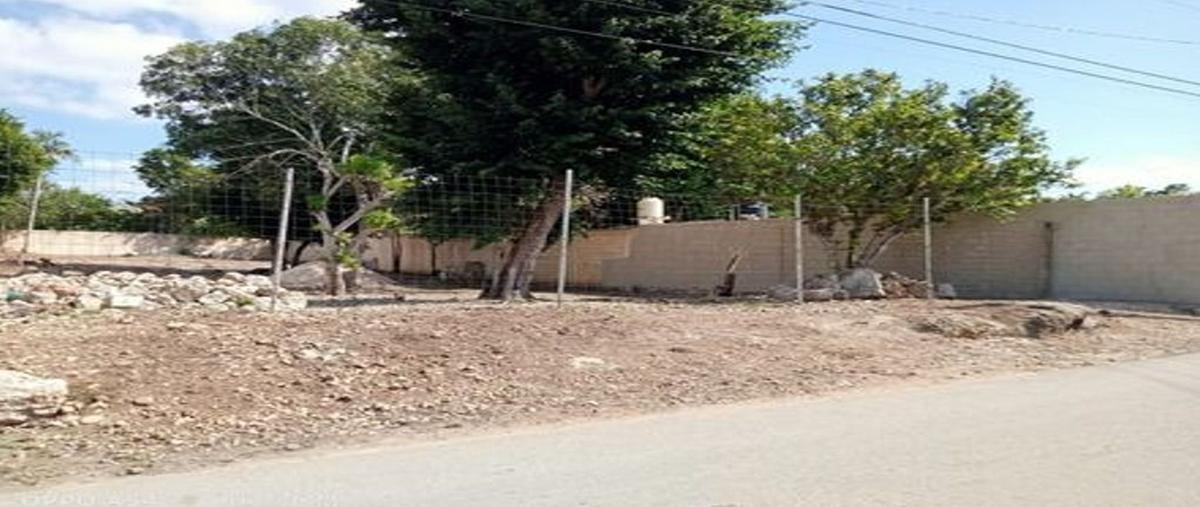 Foto de terreno habitacional en renta en 28 , izamal, izamal, yucatán, 0 No. 03