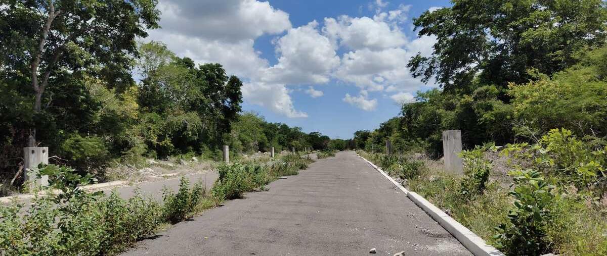 Foto de terreno habitacional en venta en 28 , kiktel, mérida, yucatán, 0 No. 03