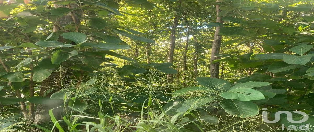 Foto de terreno industrial en 28 kilometro carretera federal villahermosa-campeche , ojo de agua, carmen, campeche, 30660977 foto 02 Foto de terreno industrial en venta en 28 kilometro carretera federal villahermosa-campeche , ojo de agua, carmen, campeche, 30660977 No. 02