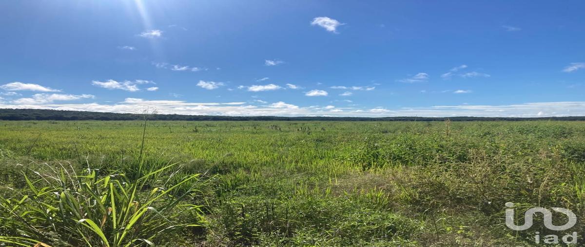 Foto de terreno industrial en 28 kilometro carretera federal villahermosa-campeche , ojo de agua, carmen, campeche, 30660977 foto 03 Foto de terreno industrial en venta en 28 kilometro carretera federal villahermosa-campeche , ojo de agua, carmen, campeche, 30660977 No. 03