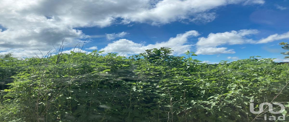 Foto de terreno industrial en 28 kilometro carretera federal villahermosa-campeche , ojo de agua, carmen, campeche, 30660977 foto 04 Foto de terreno industrial en venta en 28 kilometro carretera federal villahermosa-campeche , ojo de agua, carmen, campeche, 30660977 No. 04