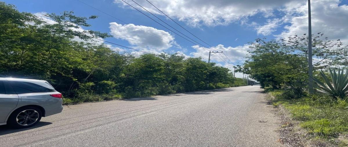 Foto de terreno habitacional en venta en 28 , temozon norte, mérida, yucatán, 30009021 No. 03