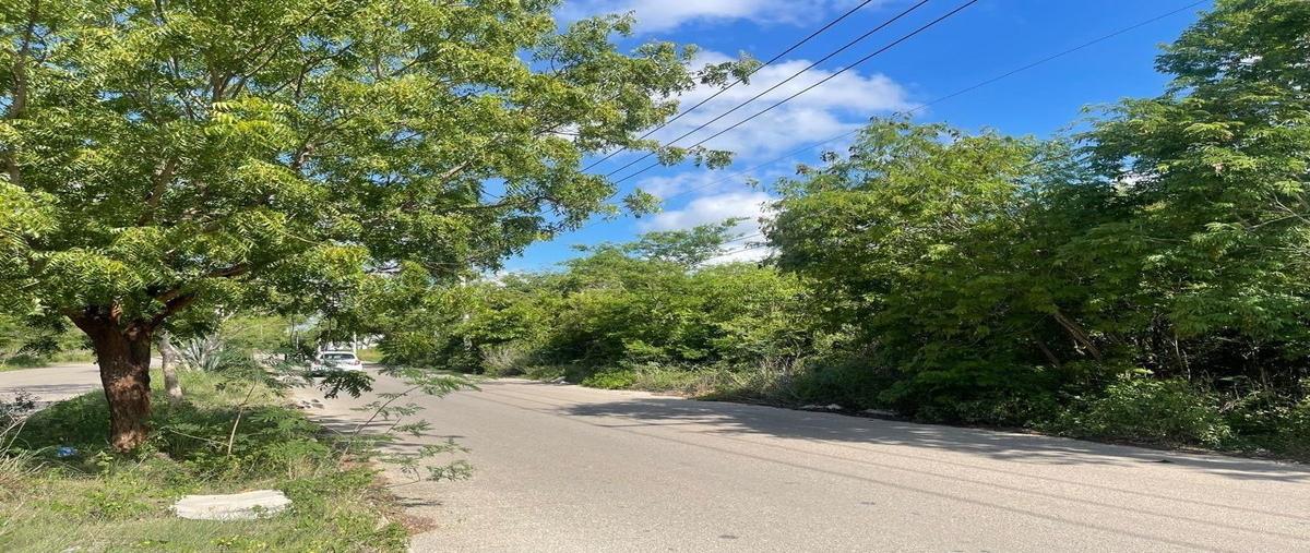 Foto de terreno habitacional en venta en 28 , temozon norte, mérida, yucatán, 30009021 No. 04