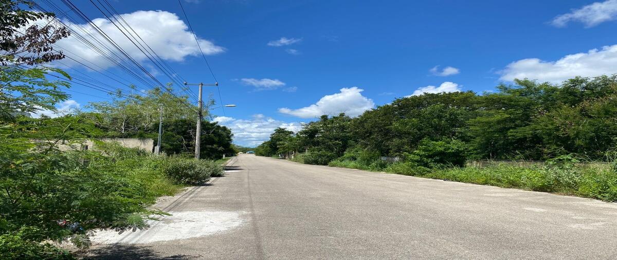 Foto de terreno habitacional en venta en 29 , cholul, mérida, yucatán, 30350885 No. 04