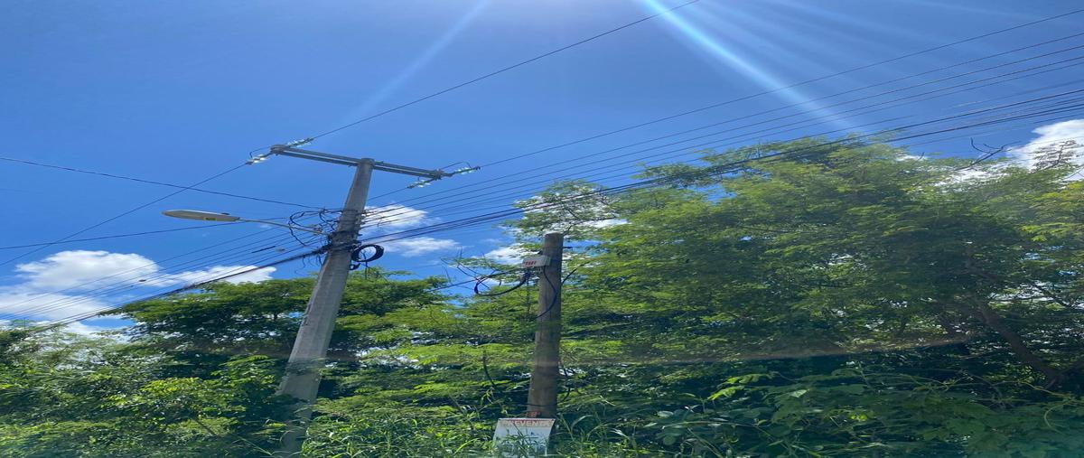 Foto de terreno habitacional en venta en 29 , cholul, mérida, yucatán, 30350885 No. 05