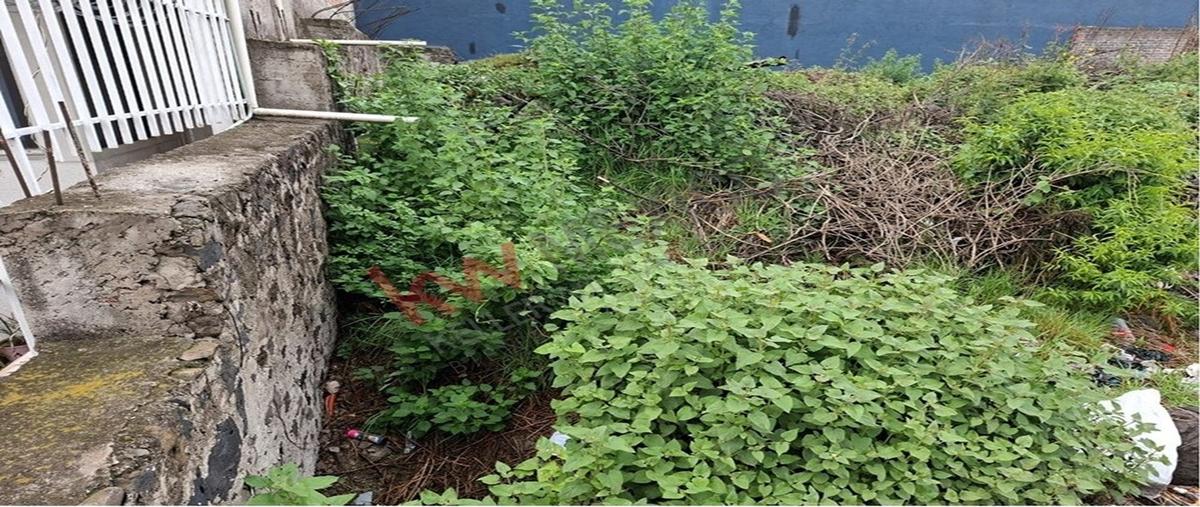 Foto de terreno habitacional en 2a cerrada de magnolia 41, ejidos de san pedro mártir, tlalpan, df / cdmx, 0 foto 03 Foto de terreno habitacional en venta en 2a cerrada de magnolia 41, ejidos de san pedro mártir, tlalpan, df / cdmx, 0 No. 03