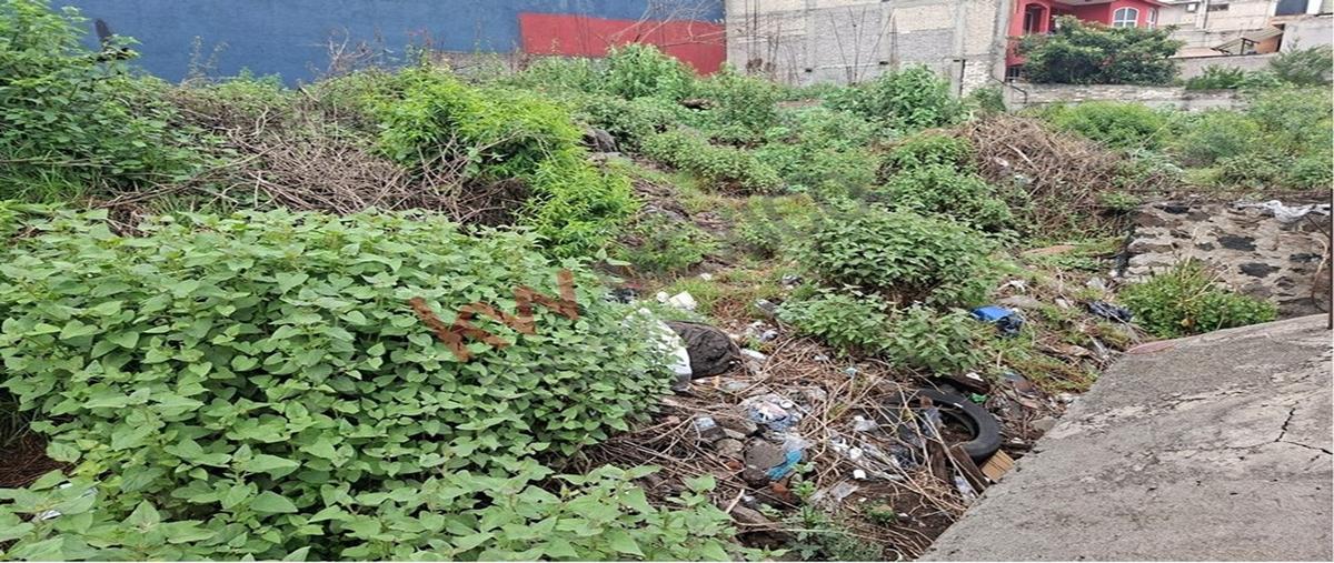 Foto de terreno habitacional en 2a cerrada de magnolia 41, ejidos de san pedro mártir, tlalpan, df / cdmx, 0 foto 04 Foto de terreno habitacional en venta en 2a cerrada de magnolia 41, ejidos de san pedro mártir, tlalpan, df / cdmx, 0 No. 04