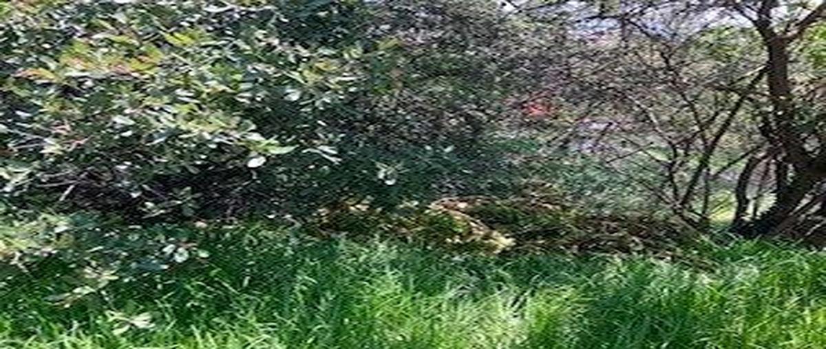 Foto de terreno habitacional en venta en 2a. privada castillo de canterburry , condado de sayavedra, atizapán de zaragoza, méxico, 26874127 No. 05