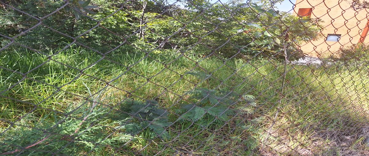 Foto de terreno habitacional en venta en 2a privada castillo de nothingham manzana 17 lt.26 , condado de sayavedra, atizapán de zaragoza, méxico, 28422906 No. 05