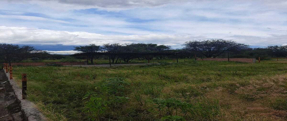 Foto de rancho en venta en 2a privada diciembre , santa rosa xajay, san juan del río, querétaro, 0 No. 03
