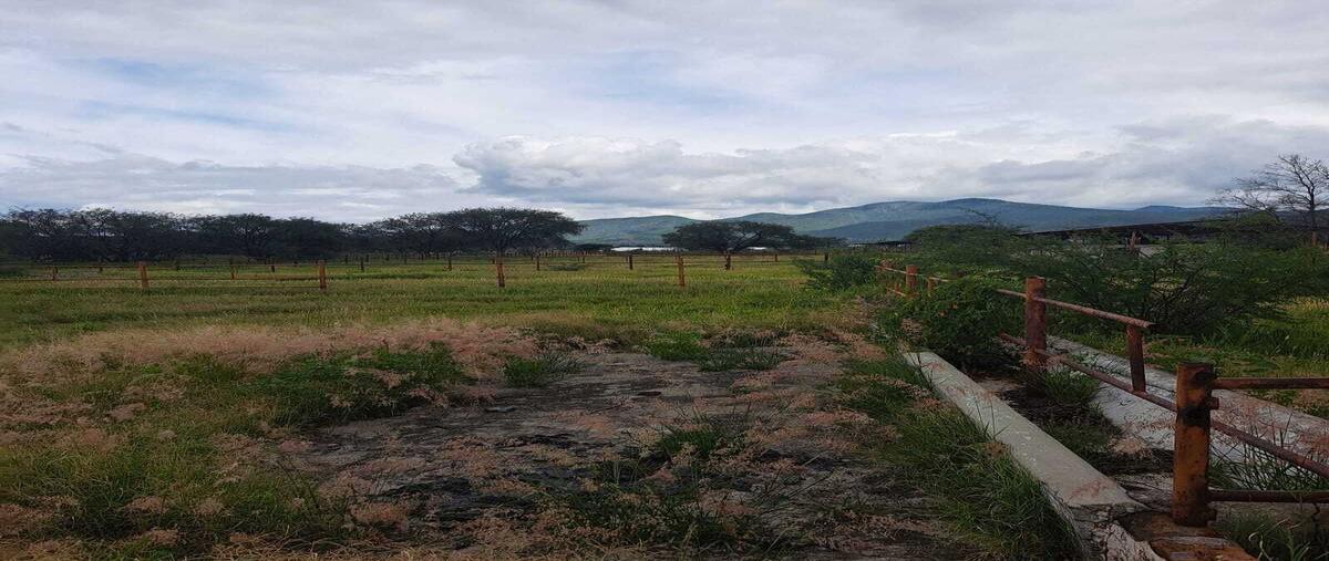 Foto de rancho en venta en 2a privada diciembre , santa rosa xajay, san juan del río, querétaro, 0 No. 05