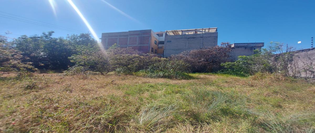 Foto de terreno habitacional en venta en 2a sección miguel hidalgo , miguel hidalgo 2a sección, tlalpan, df / cdmx, 28916182 No. 03