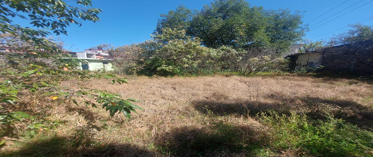 Foto de terreno habitacional en venta en 2a sección miguel hidalgo , miguel hidalgo 2a sección, tlalpan, df / cdmx, 28916182 No. 04