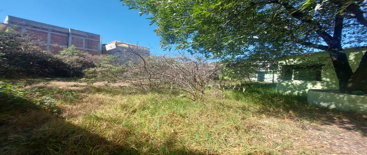 Foto de terreno habitacional en venta en 2a sección miguel hidalgo , miguel hidalgo 2a sección, tlalpan, df / cdmx, 28916182 No. 05