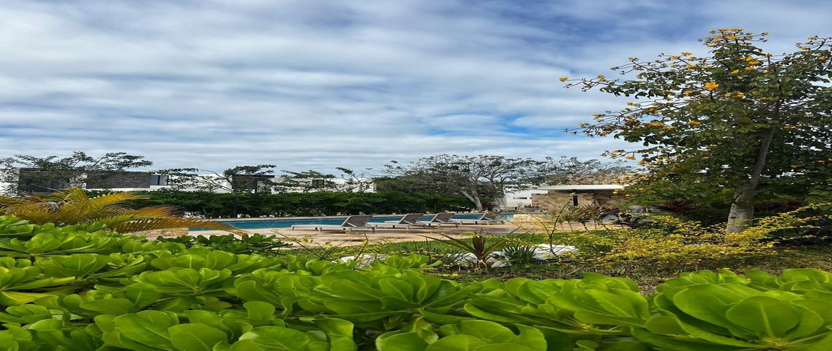 Foto de terreno habitacional en venta en 2crv+fx8 , cholul, mérida, yucatán, 0 No. 05