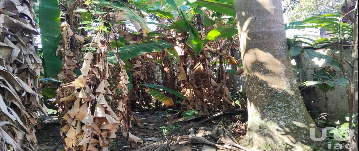 Foto de casa en 2da avenida norte poniente , yajalón centro, yajalón, chiapas, 0 foto 04 Foto de casa en venta en 2da avenida norte poniente , yajalón centro, yajalón, chiapas, 0 No. 04