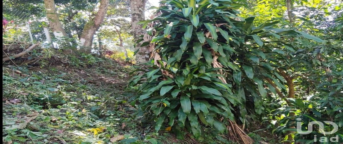 Foto de casa en 2da avenida norte poniente , yajalón centro, yajalón, chiapas, 0 foto 05 Foto de casa en venta en 2da avenida norte poniente , yajalón centro, yajalón, chiapas, 0 No. 05