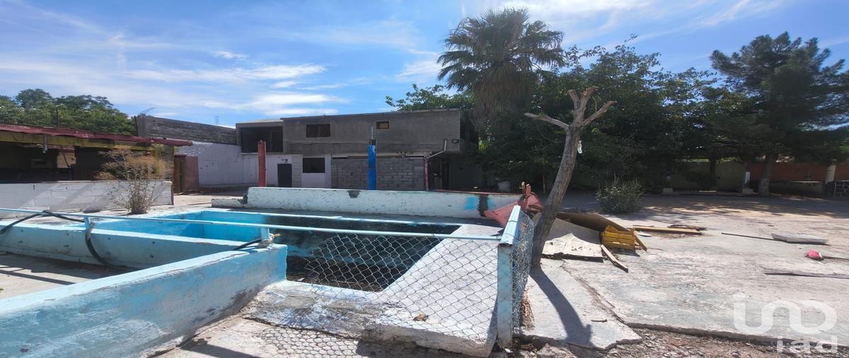 Foto de terreno comercial en 2da del valle 1416, salvacar de juárez, juárez, chihuahua, 31696740 foto 03 Foto de terreno comercial en venta en 2da del valle 1416, salvacar de juárez, juárez, chihuahua, 31696740 No. 03