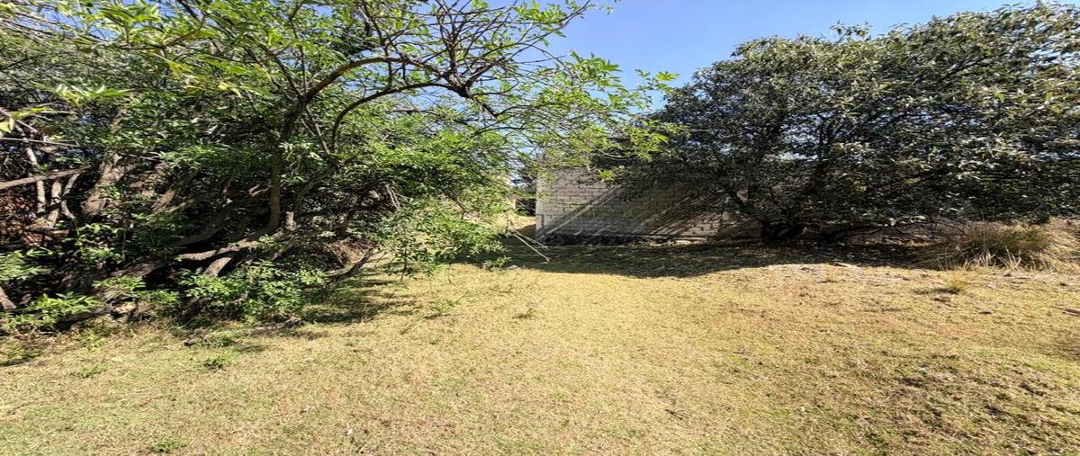 Foto de terreno habitacional en venta en 2da paseo de la herradura , cacalomacán centro, toluca, méxico, 0 No. 03