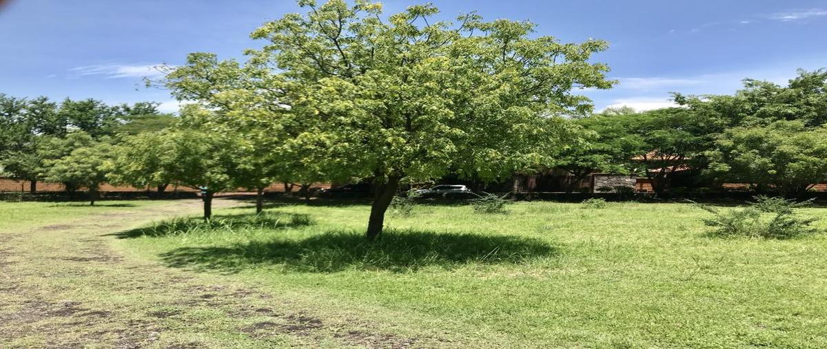 Foto de terreno habitacional en venta en 3 2, real del puente, xochitepec, morelos, 8923448 No. 03