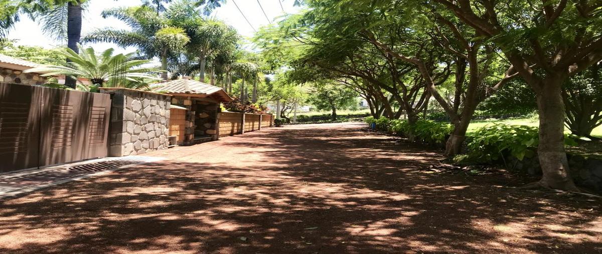 Foto de terreno habitacional en venta en 3 2, real del puente, xochitepec, morelos, 8923448 No. 05