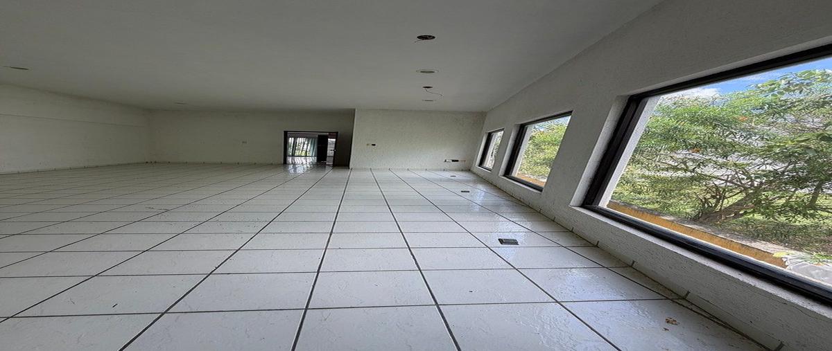 Foto de local en 3 , buenavista, mérida, yucatán, 0 foto 01 Foto de local en renta en 3 , buenavista, mérida, yucatán, 0 No. 01