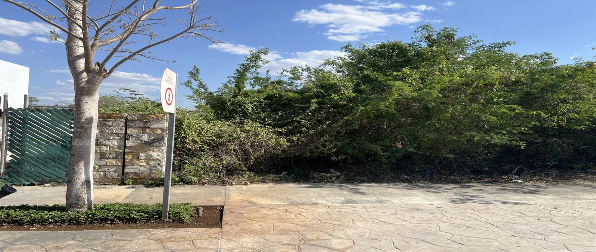 Foto de terreno habitacional en venta en 3 , chablekal, mérida, yucatán, 29758998 No. 05