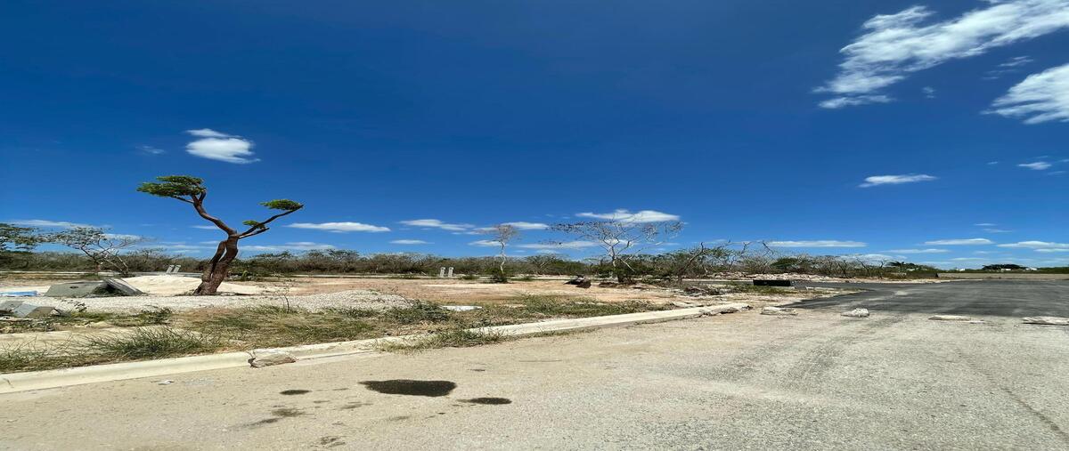 Foto de terreno habitacional en venta en 3 , cholul, mérida, yucatán, 29862205 No. 05