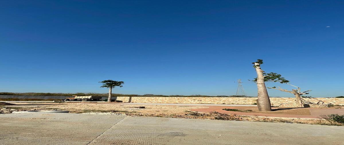 Foto de terreno habitacional en 3 , cholul, mérida, yucatán, 29862209 foto 05 Foto de terreno habitacional en venta en 3 , cholul, mérida, yucatán, 29862209 No. 05