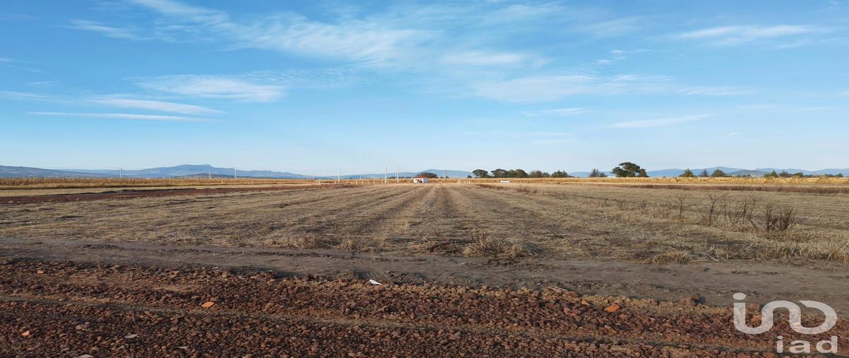 Foto de terreno habitacional en venta en 3 de abril 124, muñoz, muñoz de domingo arenas, tlaxcala, 30769947 No. 03