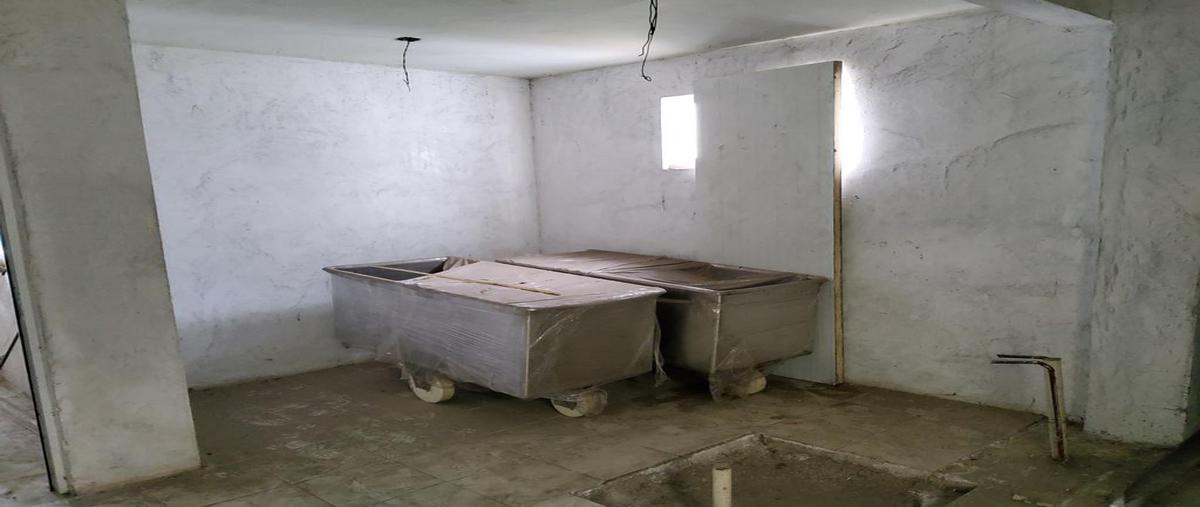 Foto de nave industrial en venta en  , 3 de mayo, banderilla, veracruz de ignacio de la llave, 14866468 No. 05