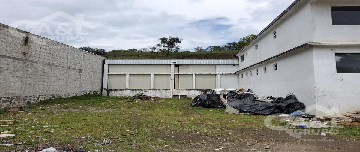 Foto de bodega en venta en  , 3 de mayo, banderilla, veracruz de ignacio de la llave, 24927276 No. 04