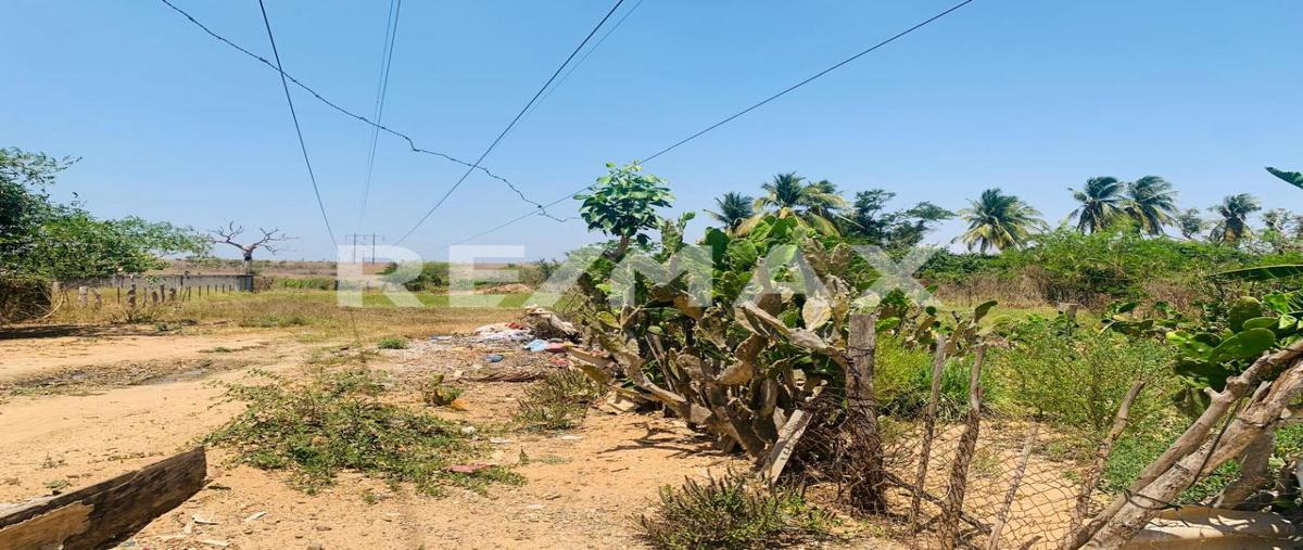 Foto de terreno comercial en venta en 3 de mayo , cuajicuinalpa centro, cuajinicuilapa, guerrero, 0 No. 05