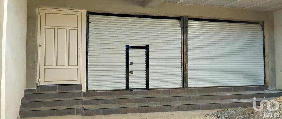 Foto de edificio en renta en 3 oriente 101, jesús de alonso, acatzingo, puebla, 30790290 No. 03
