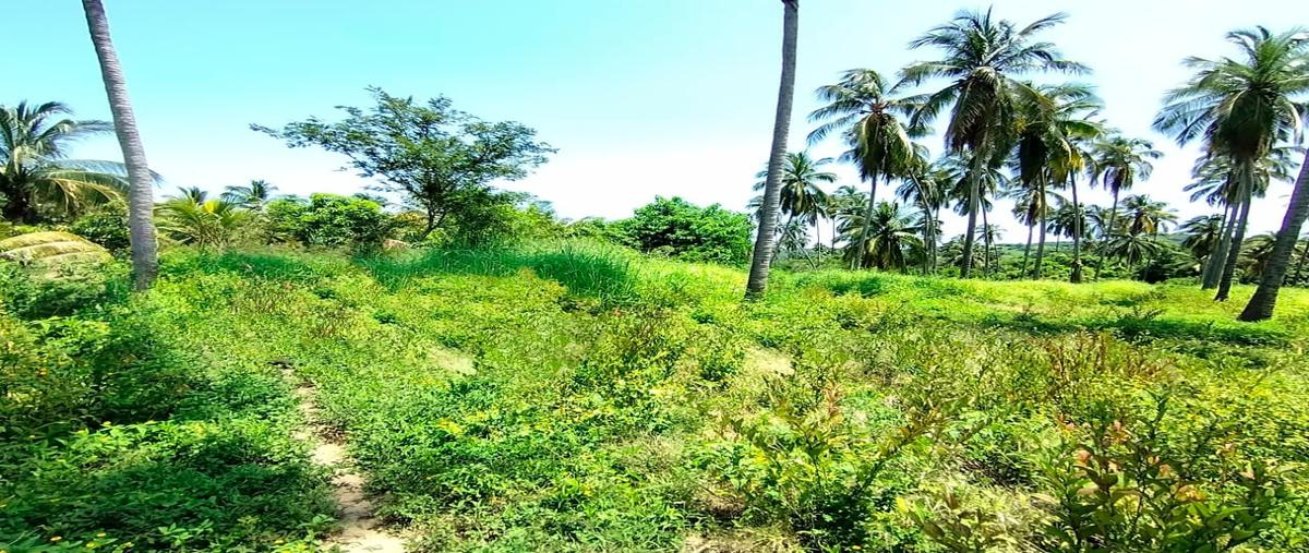 Foto de terreno habitacional en venta en  , 3 palos, acapulco de juárez, guerrero, 0 No. 03