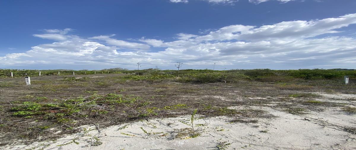 Foto de terreno habitacional en venta en 3 , san diego, dzemul, yucatán, 0 No. 04