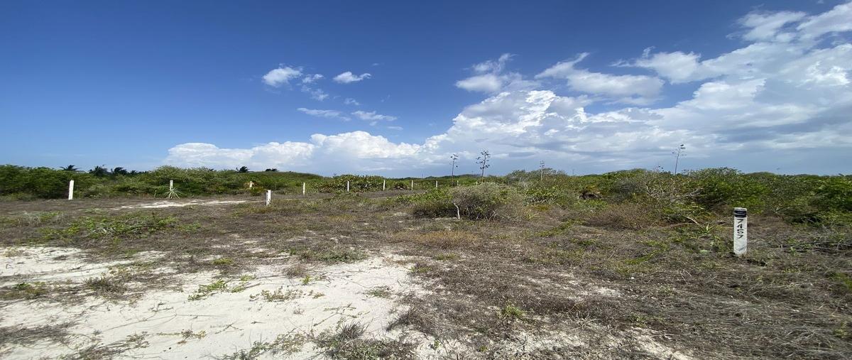 Foto de terreno habitacional en venta en 3 , san diego, dzemul, yucatán, 0 No. 05