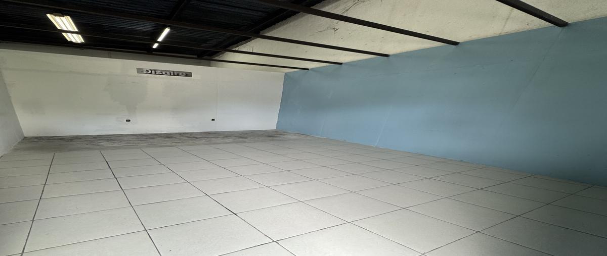 Foto de bodega en renta en 3 , santa rita cholul, mérida, yucatán, 0 No. 05