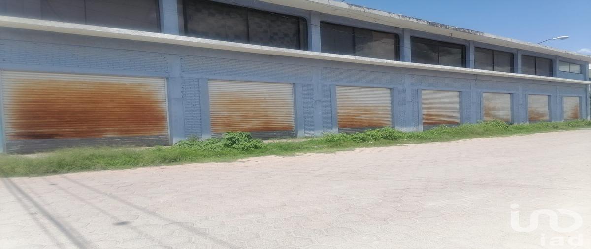 Foto de bodega en 3 sur 72, san luis ajajalpan, tecali de herrera, puebla, 28725681 foto 02 Foto de bodega en renta en 3 sur 72, san luis ajajalpan, tecali de herrera, puebla, 28725681 No. 02