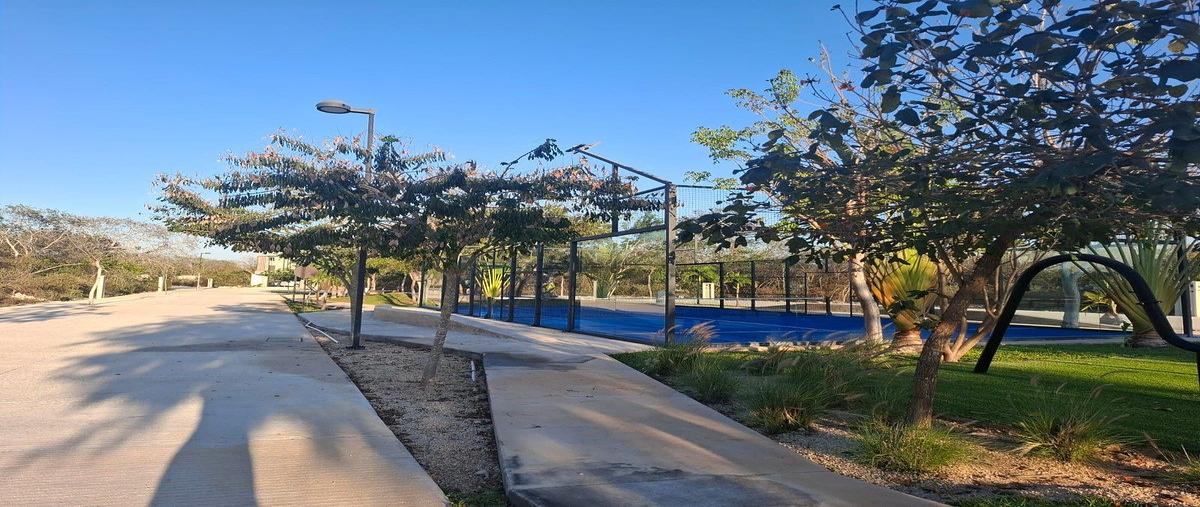 Foto de terreno habitacional en venta en 3 , tamanché, mérida, yucatán, 0 No. 03