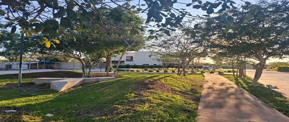 Foto de terreno habitacional en venta en 3 , tamanché, mérida, yucatán, 0 No. 06