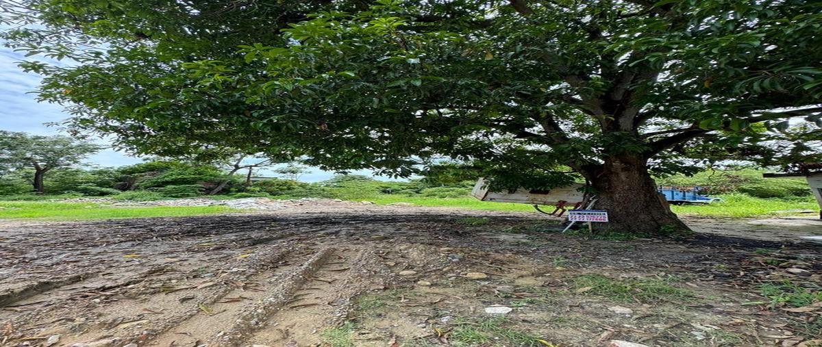 Foto de terreno habitacional en venta en  , 3 valles centro, tres valles, veracruz de ignacio de la llave, 0 No. 05