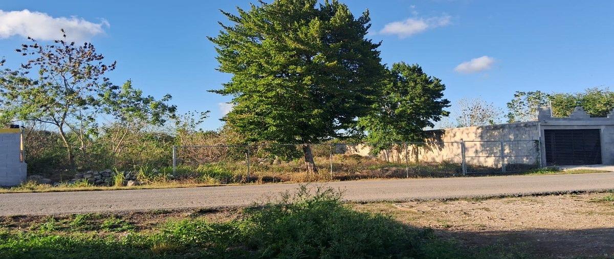 Foto de terreno habitacional en venta en 30 a , centro hunucmá, hunucmá, yucatán, 0 No. 04