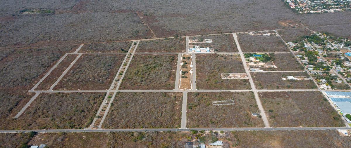 Foto de terreno habitacional en venta en 30 , chicxulub, chicxulub pueblo, yucatán, 0 No. 03