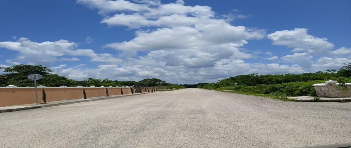 Foto de terreno habitacional en venta en 30 , chicxulub, chicxulub pueblo, yucatán, 0 No. 05
