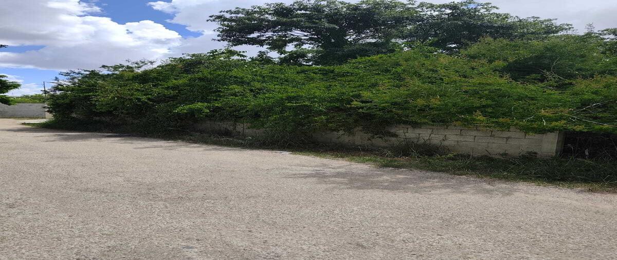 Foto de terreno habitacional en venta en 30 , cholul, mérida, yucatán, 0 No. 03