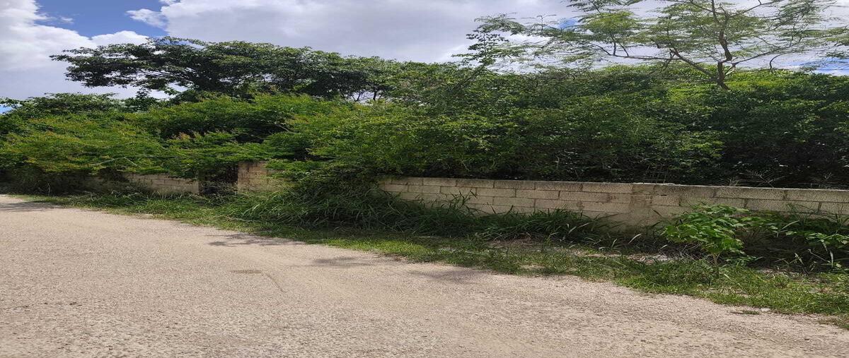 Foto de terreno habitacional en venta en 30 , cholul, mérida, yucatán, 0 No. 04