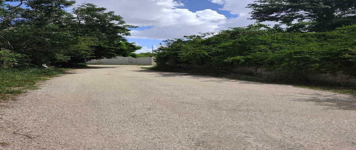 Foto de terreno habitacional en venta en 30 , cholul, mérida, yucatán, 0 No. 05