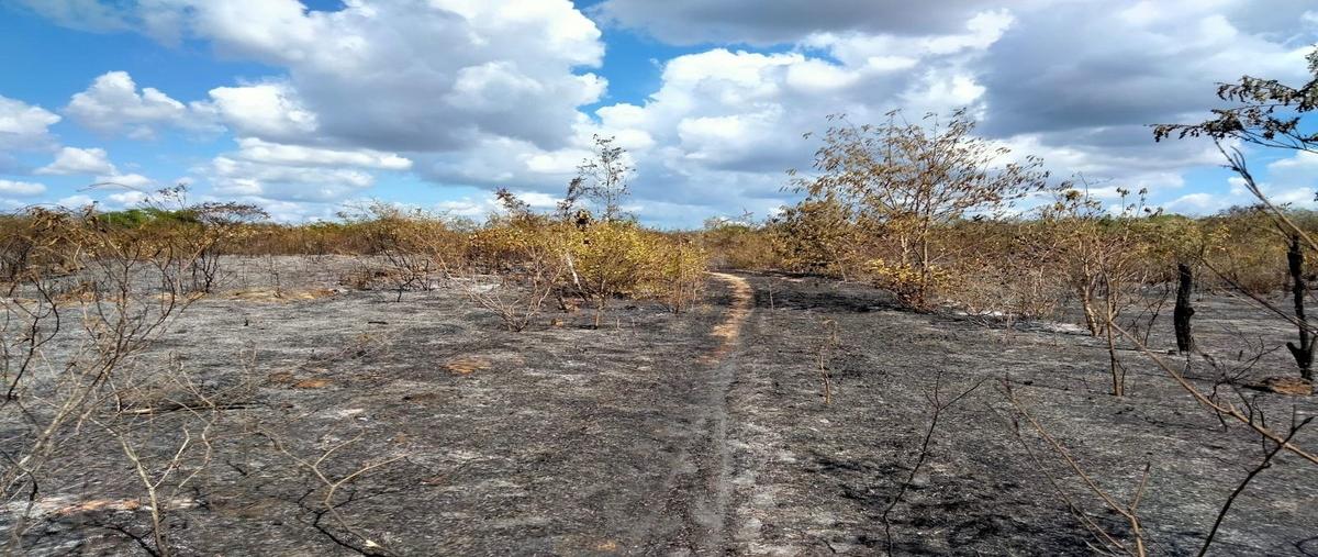 Foto de rancho en venta en 30 , tahmuy, valladolid, yucatán, 0 No. 03