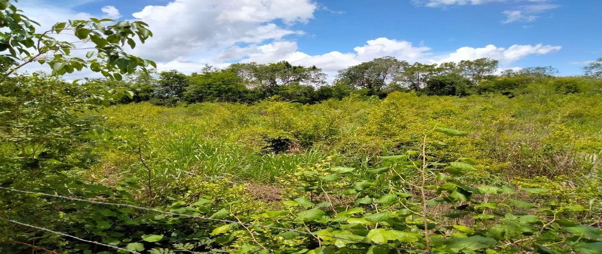Foto de rancho en venta en 30 , tahmuy, valladolid, yucatán, 0 No. 05